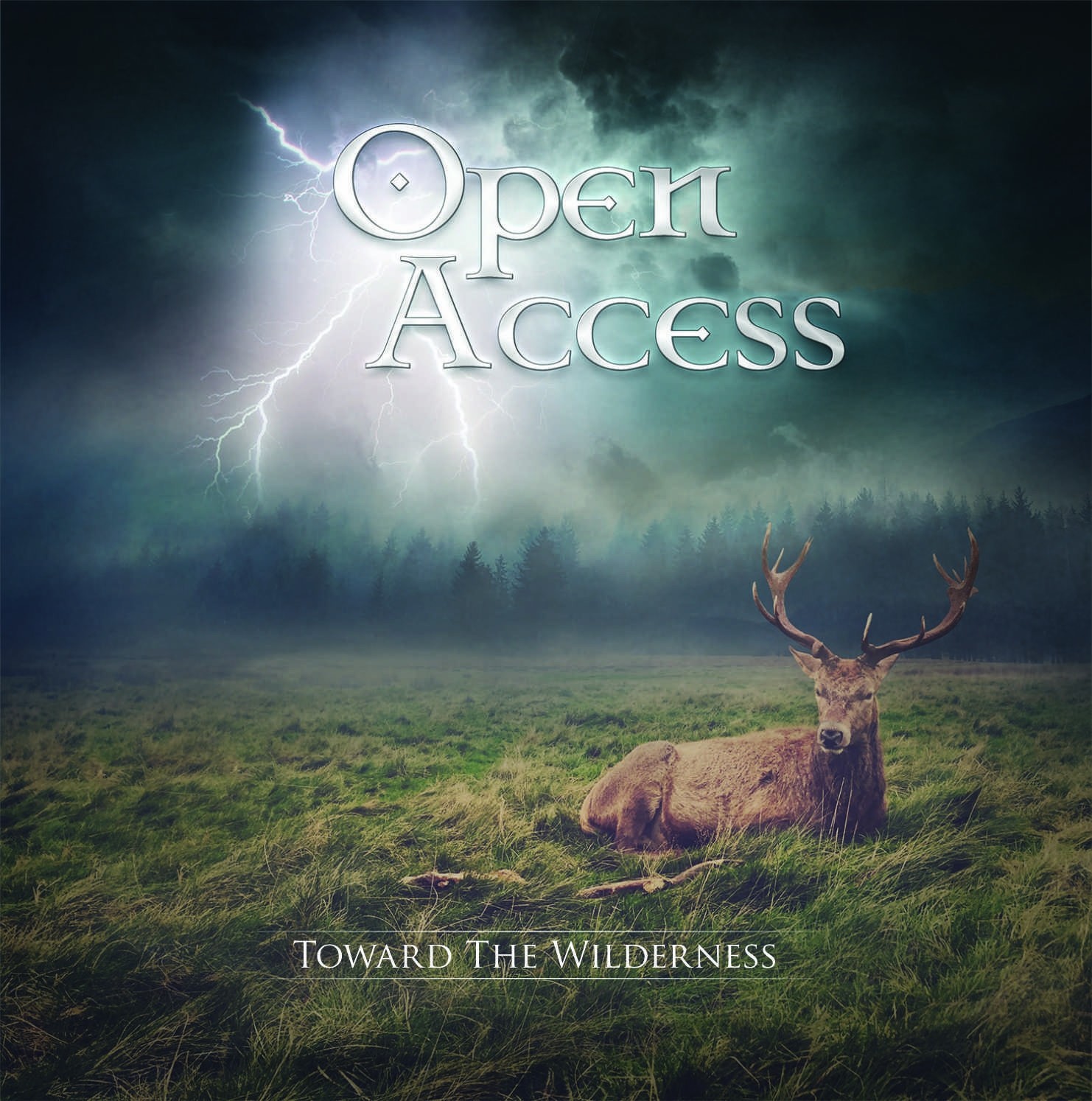 Open Access - Toward the Wilderness